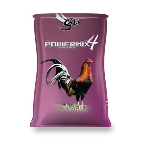 salto powermix 4